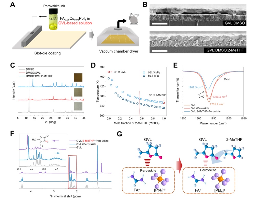 《Science》——单结钙钛矿组件效率创世界纪录